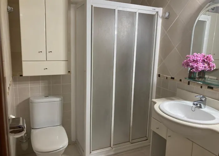 Apartamento O'royo *